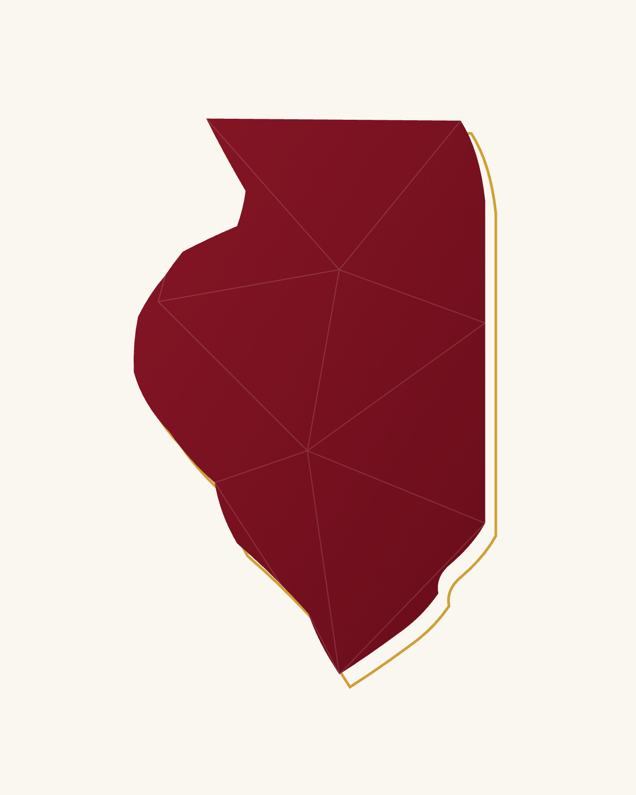 Stylized map of Illinois, where Prism Health serves